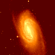 ngc2903