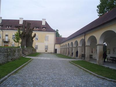 DPP 10