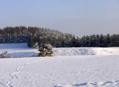 Hluboké Mašůvky - advent 2010