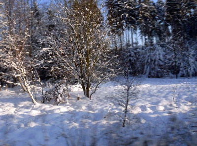 Hluboké Mašůvky - advent 2010