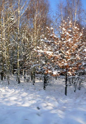 Hluboké Mašůvky - advent 2010