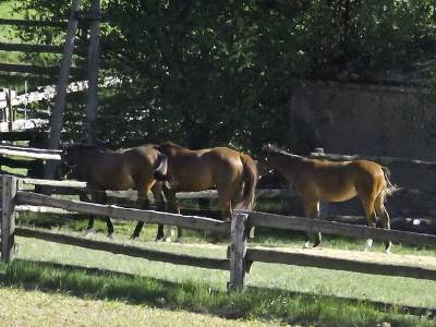 10. Peší pouť Mašůvky 2012-05-19 