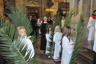Čtrnáct pražských mučedníků - beatifikace 2012