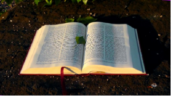 Bible, křesťan, ráno, Public Domain CCO, pixabay.com