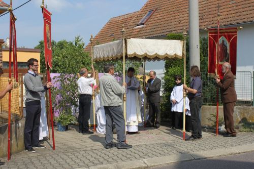 Boží Tělo Bítov 2016