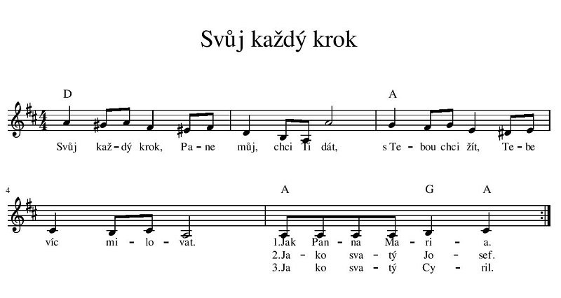 svůj kazdy krok