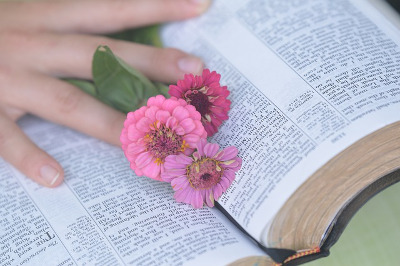 Bible, volná licence, pixabay.com