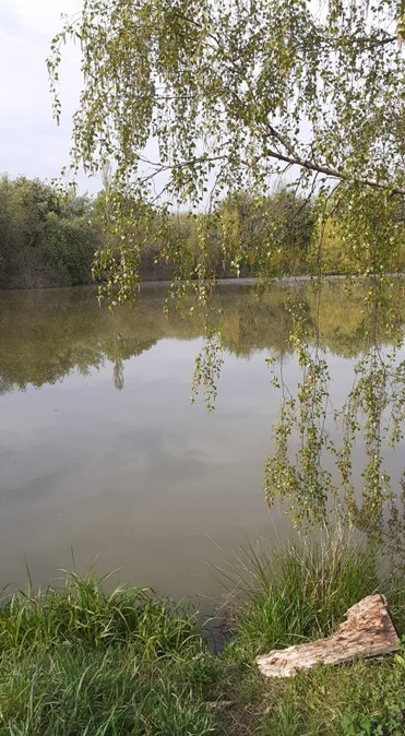 vydří_2022