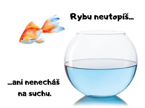 Rybu neutopíš