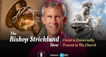 https://rumble.com/c/ TheBishopStrickland Show, www.lifenews.sk/