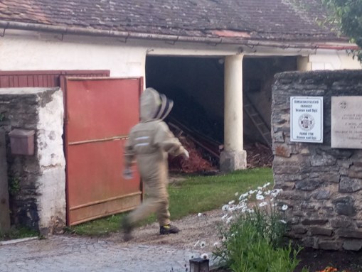 hasiči