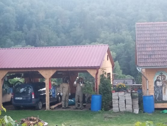 hasiči