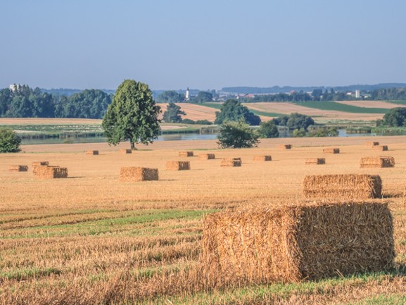 Tři Duby 2024