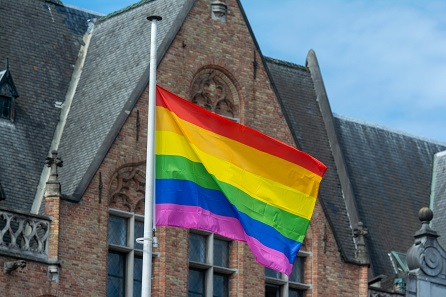 www.pexels.com, Jan van der Wolf, Flag of LGBT 