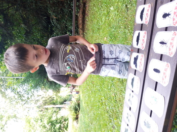 Hluboké Mašůvky 2025