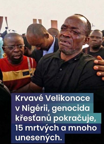 Salvator Mundi, salva nos