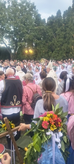 zarosice26