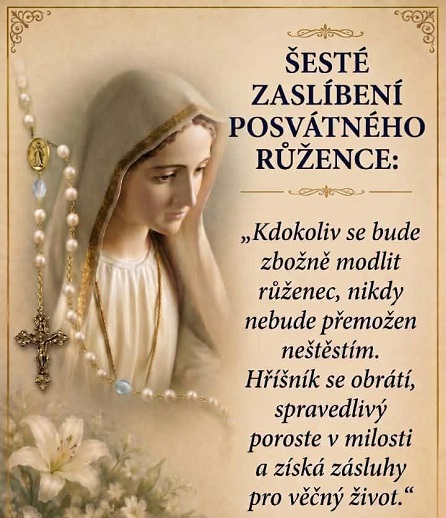 Salvator Mundi, salva nos, zaslíbení růžence 6