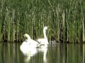 10. Peší pouť Mašůvky 2012-05-19 10. Peší pouť Mašůvky 2012-05-19