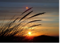 příroda, www.pixabay.com, Licence: CC0 Public Domain / FAQ příroda, www.pixabay.com, Licence: CC0 Public Domain / FAQ