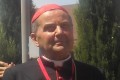 Cardinal Carlo Caffarra, Sesquipedale, CC BY-SA 3.0, cs.wikipedia Cardinal Carlo Caffarra, Sesquipedale, CC BY-SA 3.0, cs.wikipedia