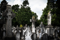 hroby, zdroj: www.pixabay.com, CCO hroby, zdroj: www.pixabay.com, CCO