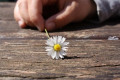 CC0, pixabay.com CC0, pixabay.com