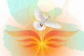 CC0, pixabay.com CC0, pixabay.com