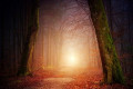 CC0, pixabay.com CC0, pixabay.com