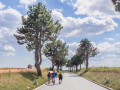 Tři Duby 2024