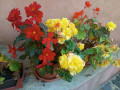 fara Vranov 7. 10. 2026